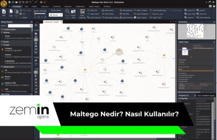 Maltego Nedir