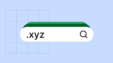 .XYZ Domain Avantajları ve Dezavantajları